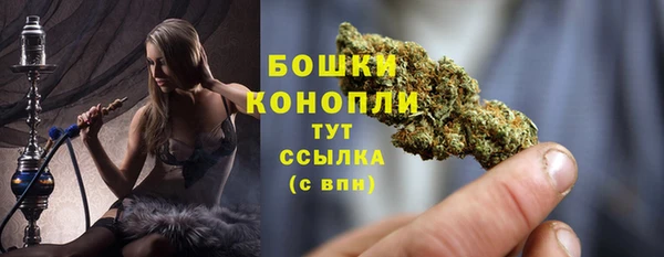 МДПВ Богородск